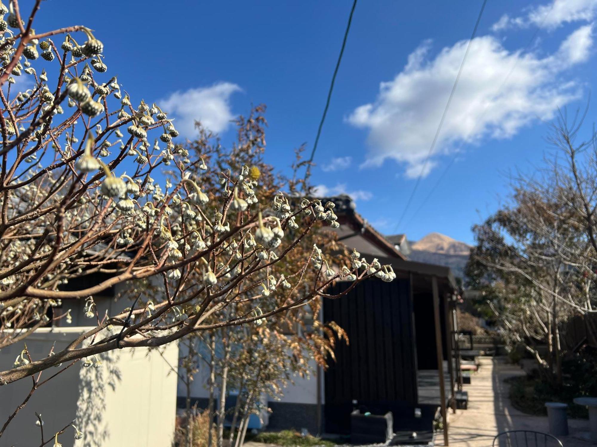 Assi House Hotel Yufu Exterior foto